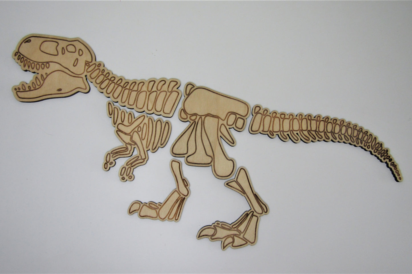 Dinoskeletten