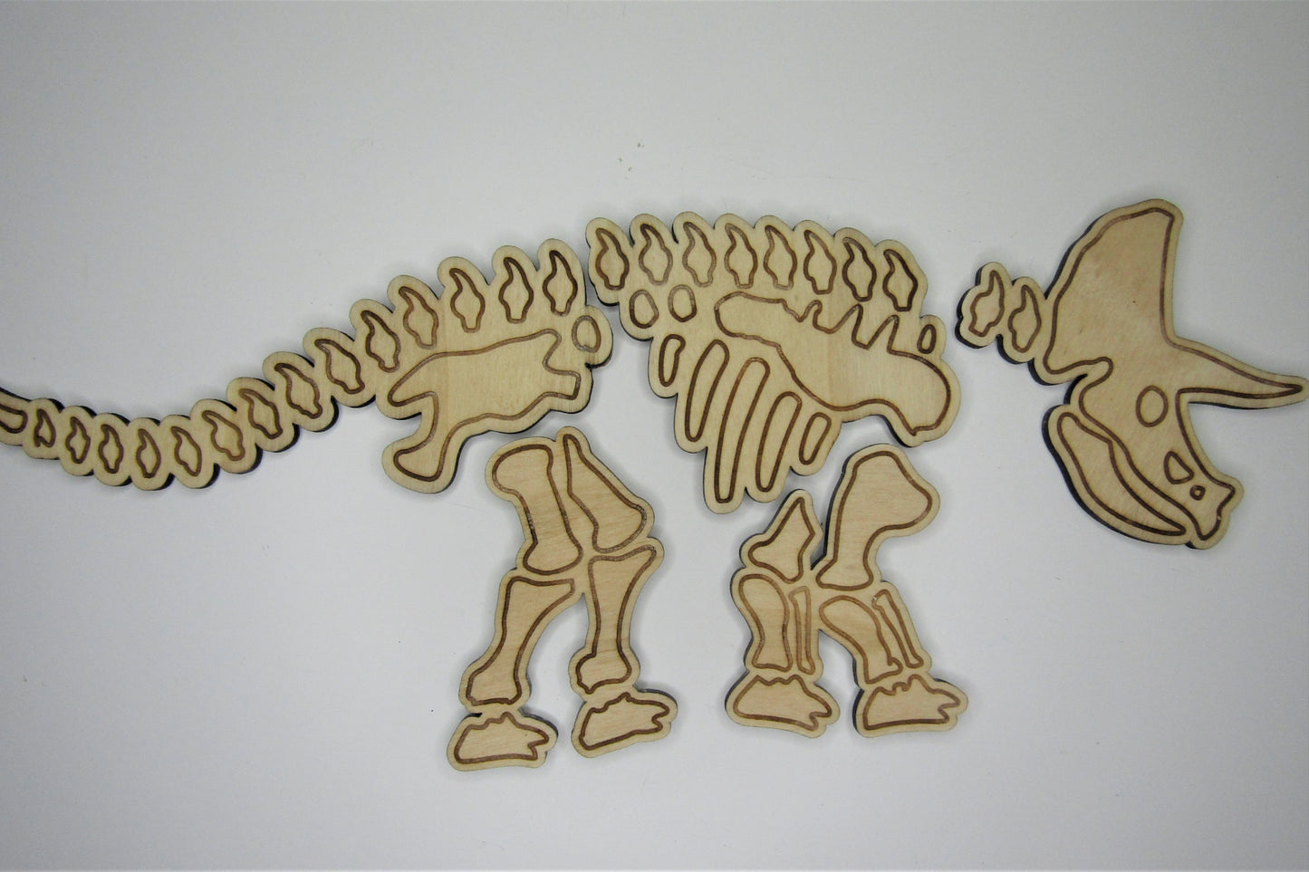 Dinoskeletten