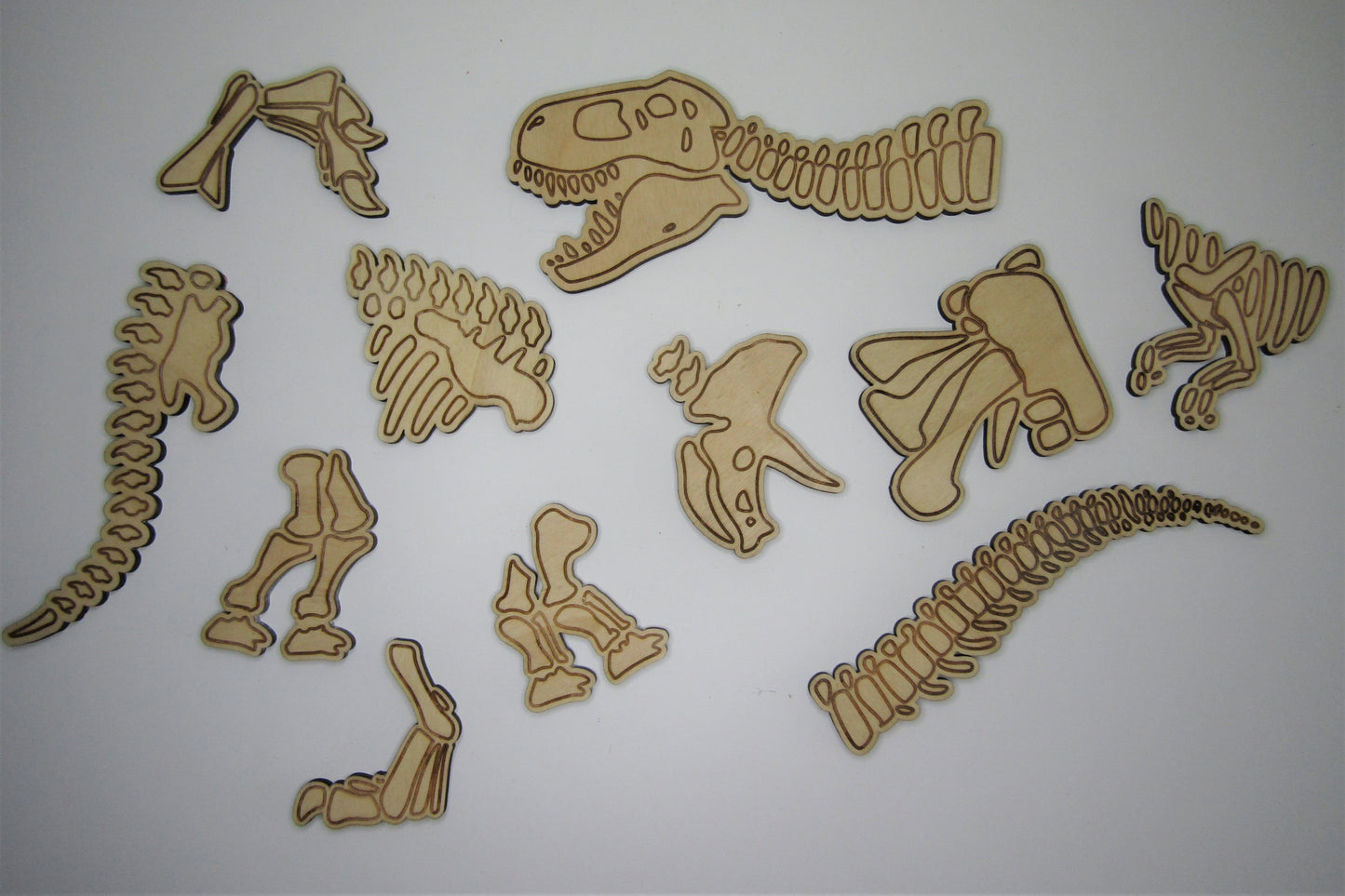 Dinoskeletten